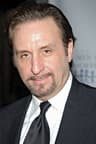 Portrait of Ron Silver.