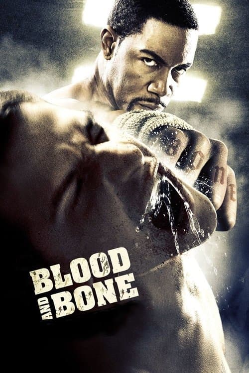 Poster for Blood and Bone.