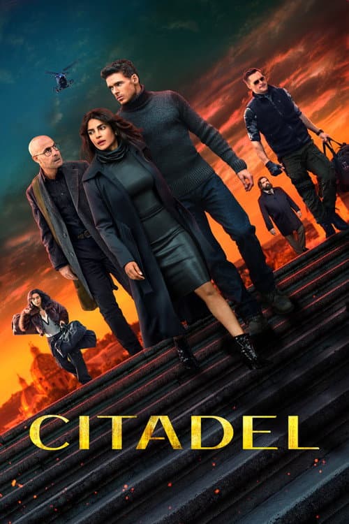 Poster for Citadel.
