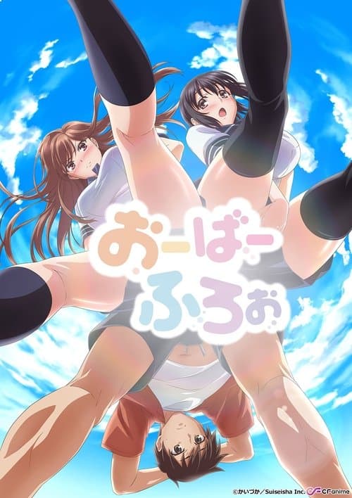 Poster for Overflow.