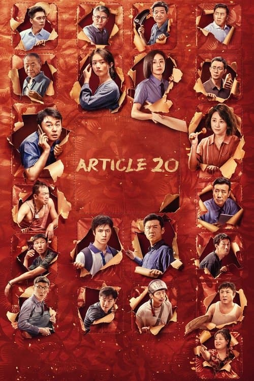 Poster for Article 20.