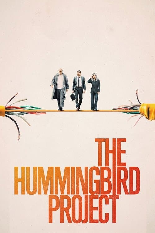 Poster for The Hummingbird Project.