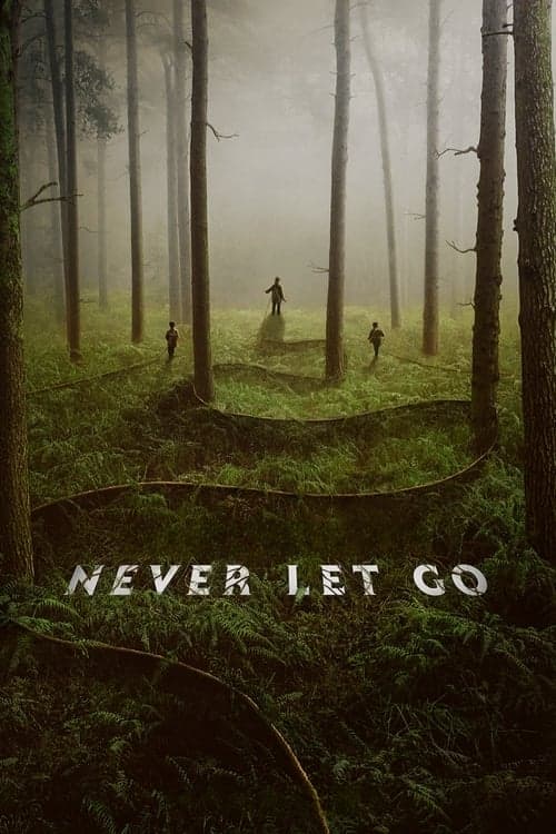 Poster for Never Let Go.