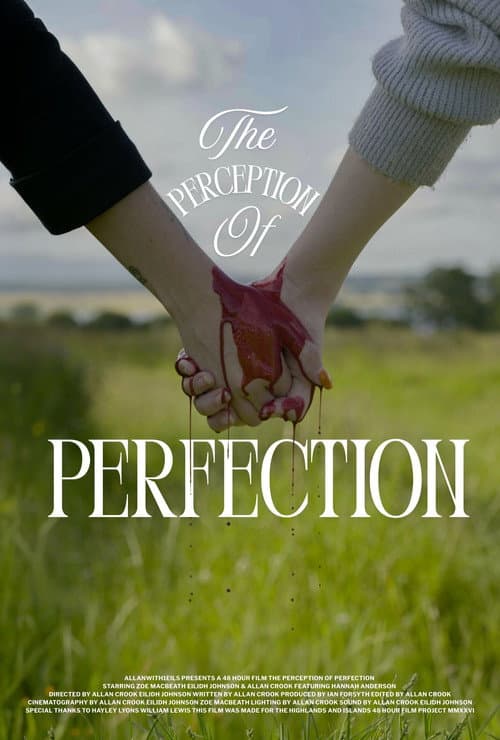 Poster for The Perception of Perfection.