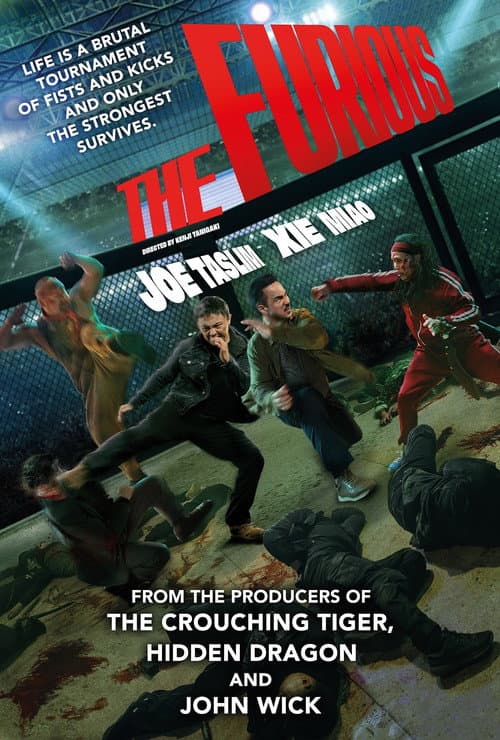 Poster for The Furious.