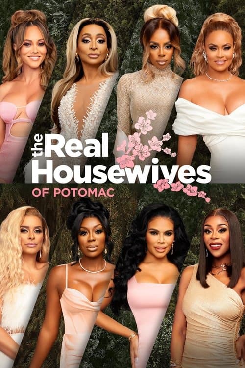 Poster for The Real Housewives of Potomac.