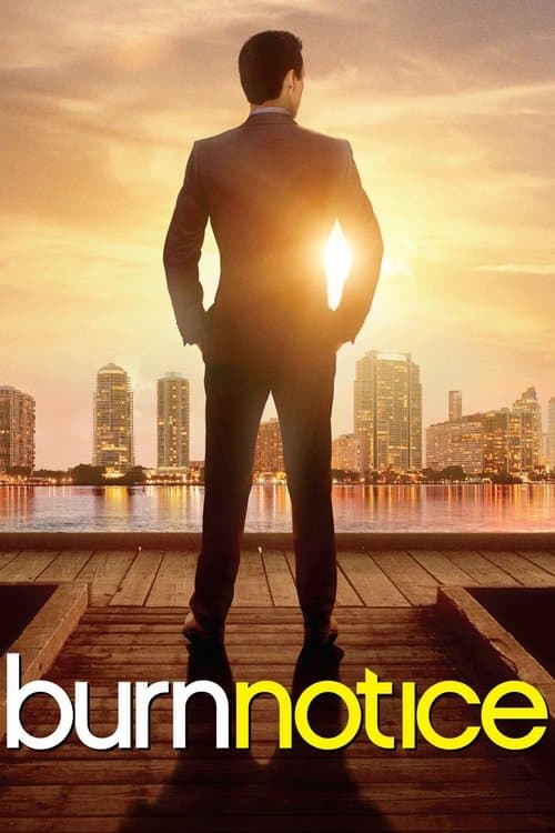Poster for Burn Notice.
