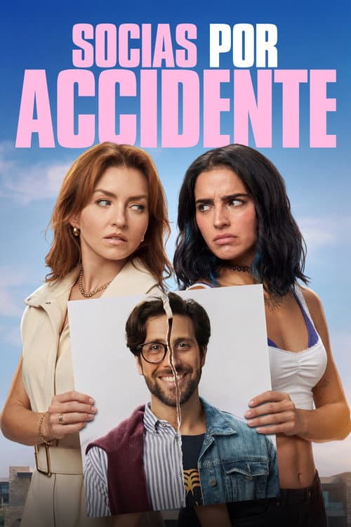 Poster for Accidental Partners.