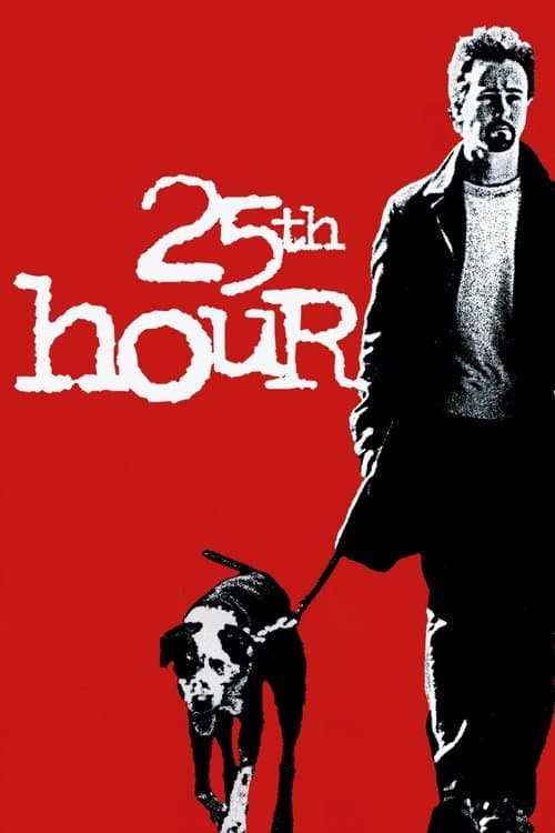 Poster for 25th Hour.