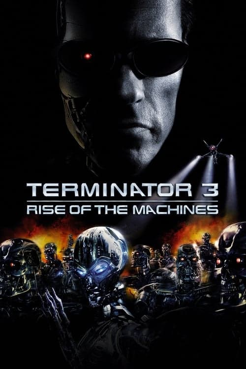 Poster for Terminator 3: Rise of the Machines.