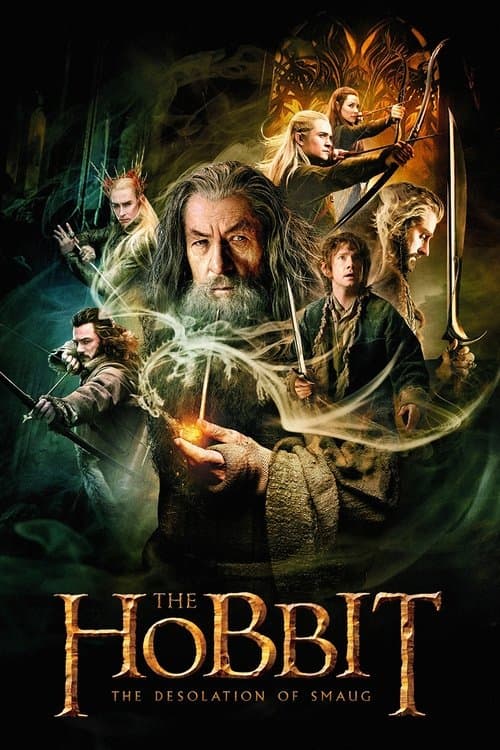 Poster for The Hobbit: The Desolation of Smaug.