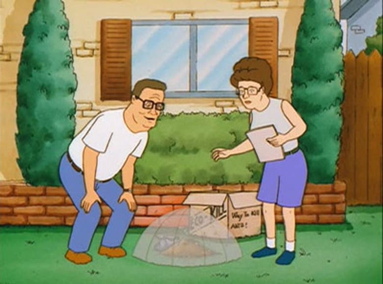 Episode 11 image.